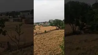 Beautiful Village Life Jhelum Pakistan #shorts #villagelife #pakistan #jhelum