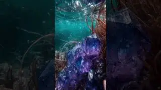 Сапфир &mdash; камень мудрости и королей