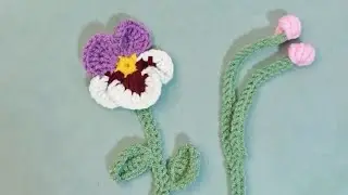 Pansy-part 2