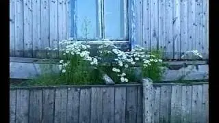 Тайна Хеты, Таймыр 1часть.avi