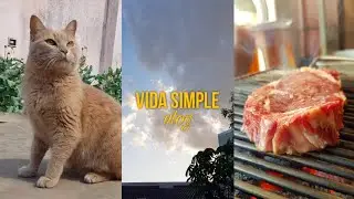 Vida Simple VLOG | La felicidad de mis d&iacute;as ordinarios, bife de chorizo, gatos, tortugas