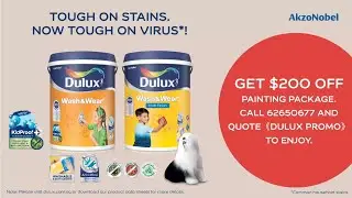Dulux Wash & Wear