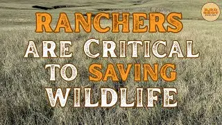 #341 | The Prairie Partnership: Ranchers, Wildlife, and the Grasslands We Stand to Lose