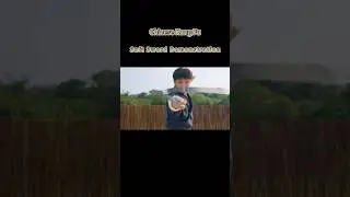 [Soft Sword] Rare Weapon.#kungfu #weapon #chinese #funny #fyp