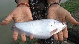 Cast Net Fishing Catching Fish A With Cast || Fishing By Daily Real Fishing(Part-188)