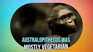 3 Million Years Ago: Australopithecus Was a Vegetarian?