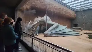 Mythical Zoo