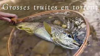 S&egrave;che et nymphe en tandem : strat&eacute;gie gagnante sur grosses truites sauvages