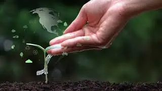 The Time is Now: Scaling the Hydrogen Ecosystem