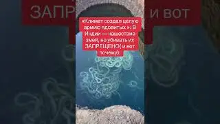 Читай👇