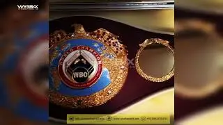 World Boxing Organisation WBO Championship Belt manufactured by Worbax International Co