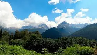8 Hours Gentle Forest Wind Sounds 🌲 Calm Nature Ambience for Sleep & Meditation