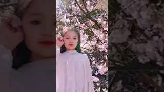 Cherry Blossom🌸佐藤くらら🌸9才