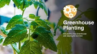 How to Grow Plants From Seed in a Holman Greenhouse and Misting System