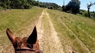Loop two of the Treasure of the Sierra Madre ride at Huasna Ranch; we get a bit lost!