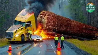 Massive Log Truck Crash Ends in Flames | Shocking Road Disaster Caught on Camera!