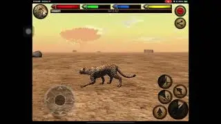 Ultimate Savanna Simulator Cheetah Roaring Growling Attacking 