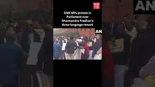 DMK MPs protest in Parliament over Dharmendra Pradhan's three-language remark | News Arena India