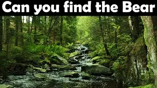 How Many Animals Can You Find In This Optical Illusion?