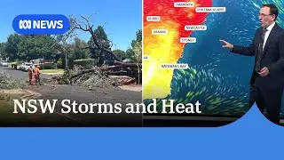 One dead, thousands without power after extreme weather lashes NSW | ABC NEWS