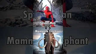 Spider-Man vs Wild Animals 🐯 &ndash; Who Wins? 🐜🆚🐅#spiderman