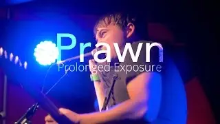 Prawn - 