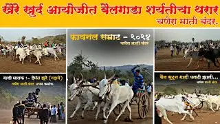 चणेरा माती बंदर शर्यतीचा थरार || २८/०१/२०२४ chanera bailgada sharyat ||