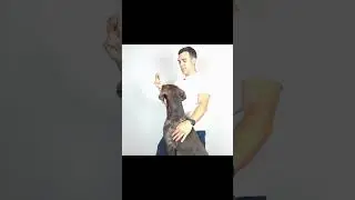 Is Your Dog In Pain? Check For Neck Pain With This Easy Test!