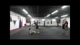 Fighting Arts--Enfolding Capturing Application