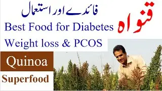 Top Superfood Quinoa: benefits and uses | How to use quinoa in diabetes, PCOS and weight loss