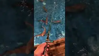 fishing my own dinner in japan's viral restuarant zauo?! #japan #japantravel #tokyo #unique #fishing