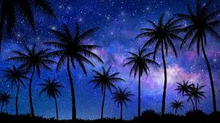 White Noise Sleeping Sounds with Black Screen | Starry Night in Palm Springs
