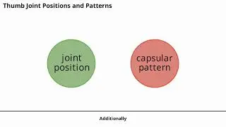Thumb Joint Mobilization | 1st CMC, MCP & IP Joint Physiotherapy for Pain Relief & Mobility