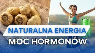 Maca (Pieprznica Peruwiańska): Naturalna Energia, Hormony i Płodność
