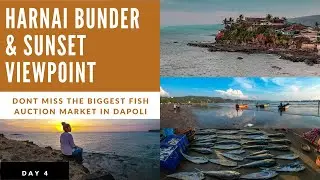 Harnai Bunder - Fish Auction Market & Sunset Point I Dapoli Roadtrip Ep 4 #harnaibunder #harnaibeach