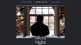 Silent Night Flute Cover #silentnight #christmas #christmasmusic