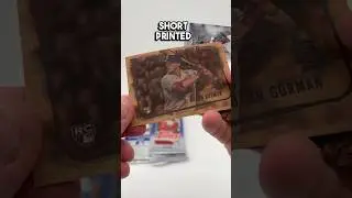 Let&rsquo;s open a 2023 Topps Update Super Box #baseballcards #sportscards #boxbreak