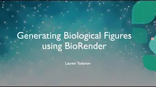 BioRender tutorial for making figures (Hedgehog signaling pathway)