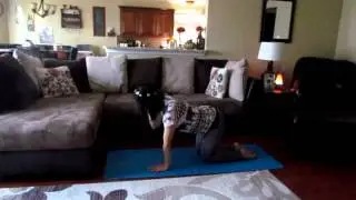 Yoga Challenge Day 3 Cat/Cow Pose