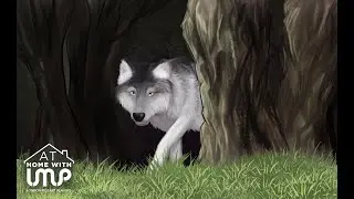London Mozart Players &ndash; sneak preview of Peter & The Wolf, narrated by Alexander Armstrong