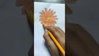 Simple Art Calendula Flower 🏵️🏵️🏵️