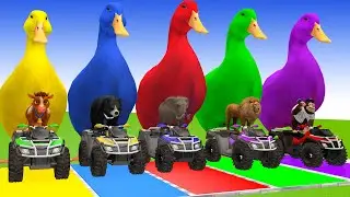 Long Slide Game With Cow Elephant Gorilla Hippopotamus Tiger 3d Animal Game Funny 3d Animals