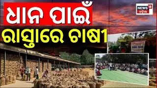 ମଣ୍ଡିରୁ ଉଠୁନି ଧାନ, ତାତିଲେ ଚାଷୀ | Mandi Issues | Farmer Protest at Sambalpur | Odia News