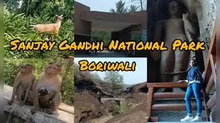 Sanjay Gandhi National Park Boriwali 🏞️ || kanheri Caves 🌄 || Boriwali National Park Mumbai 🏞🌄