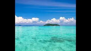 Fish Sanctuary In Dakitdakit Islet At Maribago(Lapulapu City)