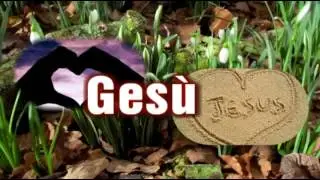 La fonte  della vita  Zigani