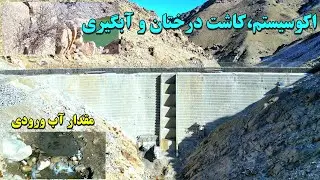 اکوسیستم | کاشت درختان کوهی | آبگیری | بند همبستگی سنگجوی لومان 