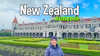 Dunedin Travel Guide | Historic City, Wildlife & Snowy Spring Road Trip