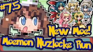 Rebuilding the Team | Pokemon Moemon Emerald Randomized Nuzlocke Run