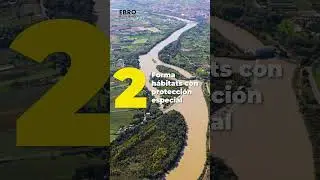 Los aspectos positivos de las crecidas del Ebro. Divulga Ebro Resilience #ebro #inundaciones